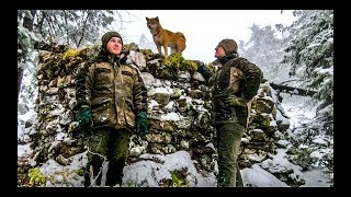 ВЕРНУЛИСЬ В КАМЕННЫЙ ДОМ ПОСЛЕ СУРОВОЙ ЗИМЫ А ТАМ...