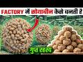 सोया बड़ी फैक्ट्री में कैसे बनती है Soya Chunks Manufacturing Process Processing Guru