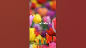(يوم لا ينفع مال ولا بنون) أحمد النفيس #سورة_الشعراء #قرآن كريم