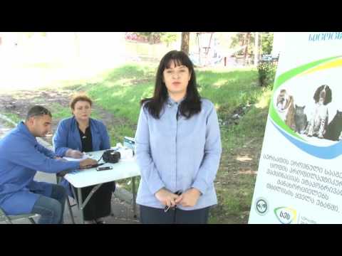 თბილისის ყველა უბანში შინაური ცხოველების ცოფის საწინააღმდეგო ვაქცინაცია მიმდინარეობს