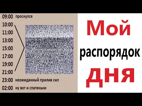 ПРИКОЛЫ! МОЙ РАСПОРЯДОК ДНЯ - МЕМЫ!!! Смешные видео – Доми шоу!