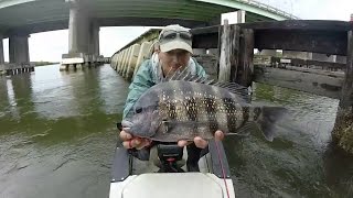 Fishing Eddies Under Bridges