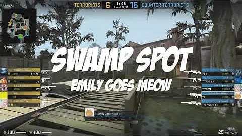 The Best Spot On Swamp - CS:GO (Counter Strike)