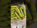 Les bananes chiquita bananes intermarch france tournai belgium subscribe youtubeshorts