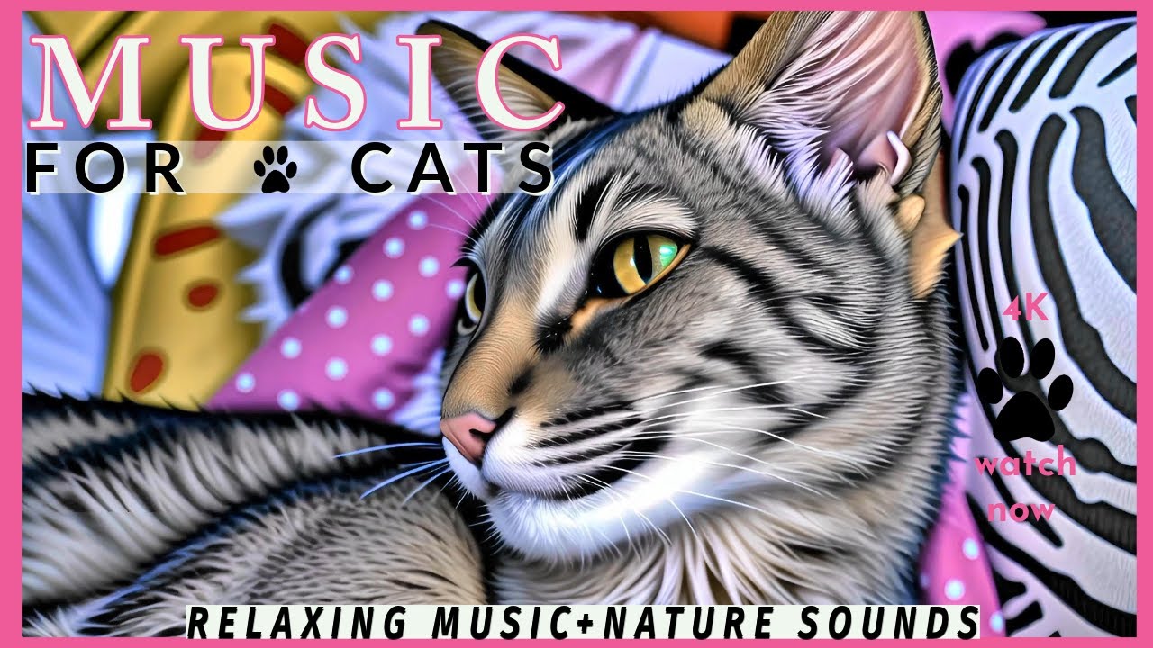 Daisy's Diary: #36  Music for Cats to Fall Asleep, Cat Music, Calming Cat Music & Nature Sounds, 4K