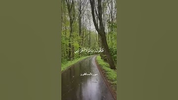 وَأَنفِقُوا مِن مَّا رَزَقْنَاكُم (11) | سورة المنافقون | علي جابر