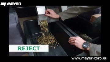 MEYER Pumpkin seeds optical sorting //Sortowanie optyczne ziaren dyni