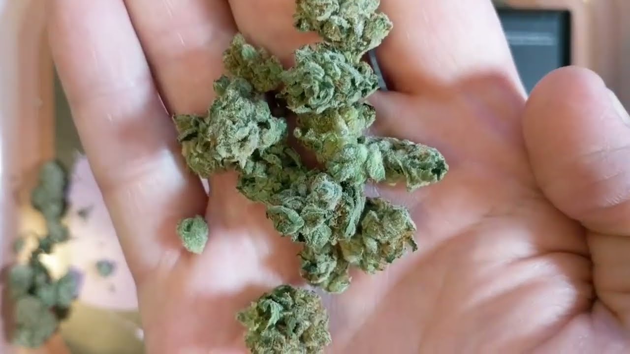 Paradise Waits minis Eustis Trulieve 21%