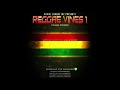 Reggae music vines 1 foundations roots  culture