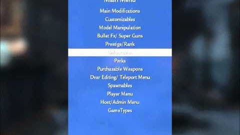 Call of Duty World at War motion flex v2 patch quick showcase