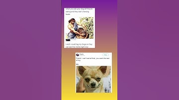 Dog Memes ❤️🤗 #shortsfeed #shortsviral #youtubeshorts #dogmemes #memes #pets #dogs #memesdaily #lol