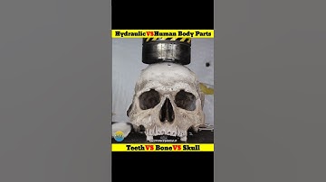 Hydraulic Press vs Human Body Parts⁉️💥 || Teeth🦷 vs Bone🦴 vs Skull💀 || #shortsfeed #trending #tamil
