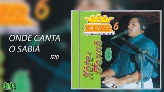 Video thumbnail of "Zezo - Xote e Forró Vol. 6 - Onde Canta o Sabiá (Áudio Oficial)"