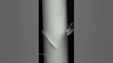 The Most Satisfying ASMR Knife Cutting Experience