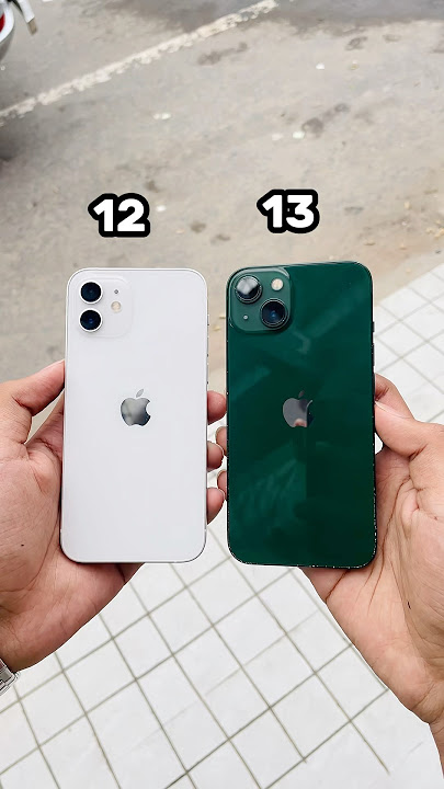 iPhone 12 Vs iPhone 13 Camera Zoom Test! #shorts