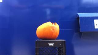 Exploding Dry Ice Pumpkin Bomb