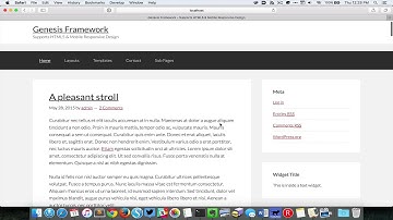 Shrinking fixed header on scroll in Genesis
