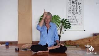 Mark Whitwell Yoga Is Participation Only - Lecture Series
