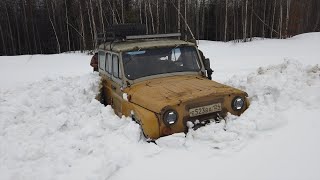 Весенняя поездка в лес. Война со снегом, первая привада, первая кулёмка