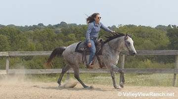 Freckles - walk, jog, lope, stops, turns! - ValleyViewRanch.net