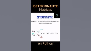 Determinante de una Matriz en Python #aprenderpython #matrices #programacion #python