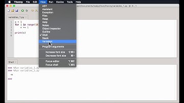 Step Through Python Scripts With Thonny