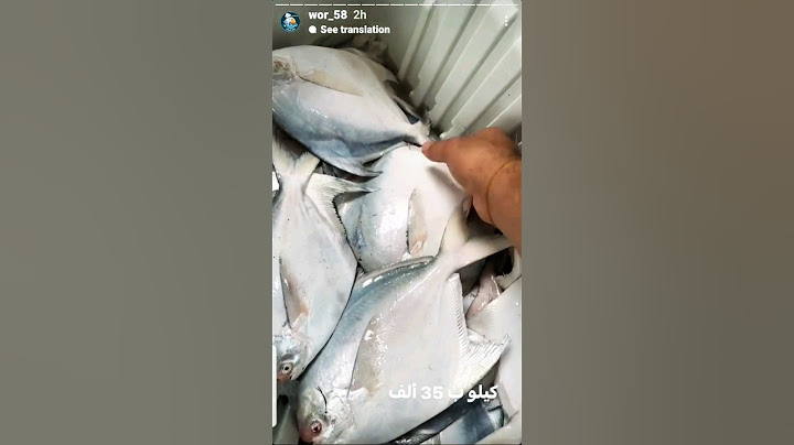 اين عشاق الزبيدي ؟؟ اسم على مسمى 🤩     #الفاو #سمج #بصره #fish #زبيدي #اسماك #النكعه #اكل_الملوك