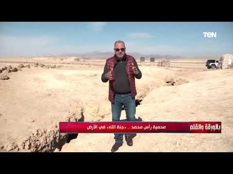 الديهي يحكي قصة الشق الزلزالي الذي أثر على محمية رأس محمد وما هو الجمبري الأعمى الذي تم اكتشافه بها