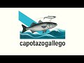 🎵 CapotazoGallego – This Is My Life, Pesca sin parar ✅