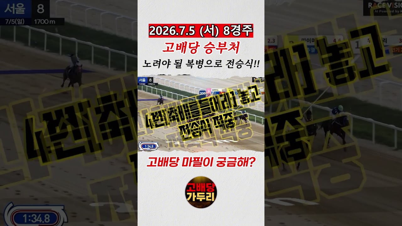 고배당 마필이 궁금해???