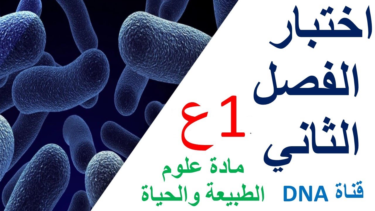 اختبار الفصل الثاني في العلوم الطبيعية مع الحل للسنة الاولى ثانوي