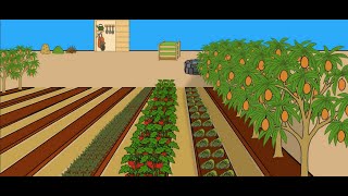The design principles of a micro farm