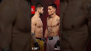 The Truth About Analyzing UFC Fights That Experts Hide From You #truthwins #roadtoufc #fightpicks