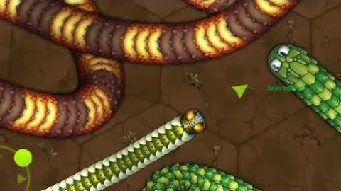 Rắn săn mồi.oi - Game con giun đất chuyên đi săn ăn-Little Big Snake.io #11
