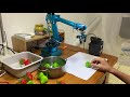 A demo of agriculture robot. Robotic arm + Raspberry PI + Python + OpenCV.