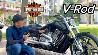 Hàng độc Harley Davidson V-Rod phục vụ cho anh em thích sưu tầm