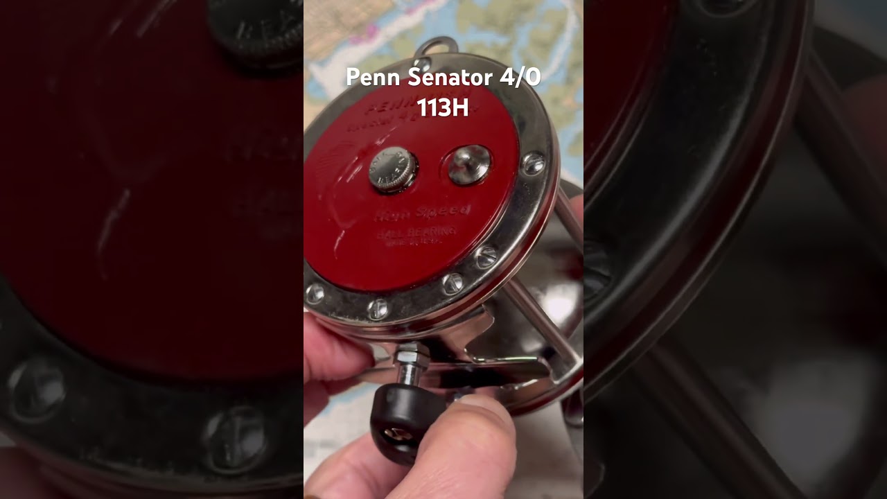 Penn Senator 4/0 113H fishing reel for the day #fishing - YouTube