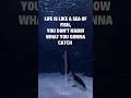 Life Quotes #shortvideo #trending #viral #subscribe #youtubeshorts #youtubeshort