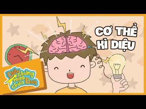 Cơ Thể Kỳ Diệu