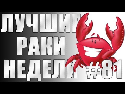 Видео: ЛРН выпуск №81. СУПЕР РАНДОМНЫЙ АЭРОДРОМ и РАКООБРАЗНЫЕ СТАТИСТЫ [Лучшие Раки Недели]