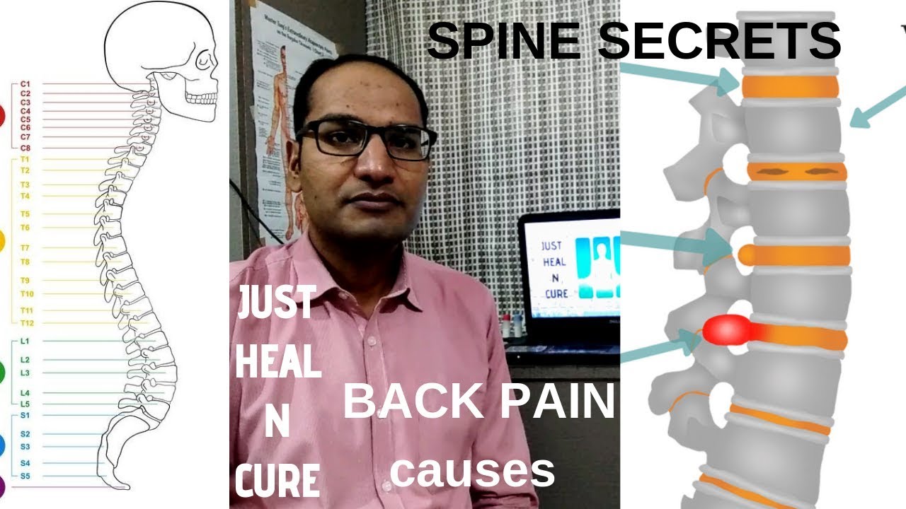 video to gif BACKPAIN CAUSES II जानिए कमर दर्द के कारण II क्यों रहता है आपको कमर मैं दर्द