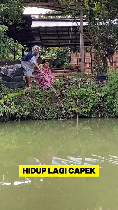 momen lucu ketika ras terkuat di bumi mancing ikan bikin ngakak ‼️#emakemak #ikan #mancing #lucu