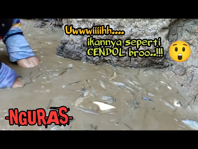 Senangnya luar biasa..!!!  nguras parit ikannya seperti cendol class=