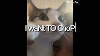 I WaNT TO Be NiNGa #funny #cat #dog 