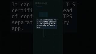 Understanding Reverse Proxies Step by Step #Shorts