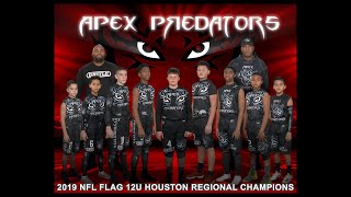 NFL Flag Football 12U Elite Apex Predators 2020 Nationals Highlights