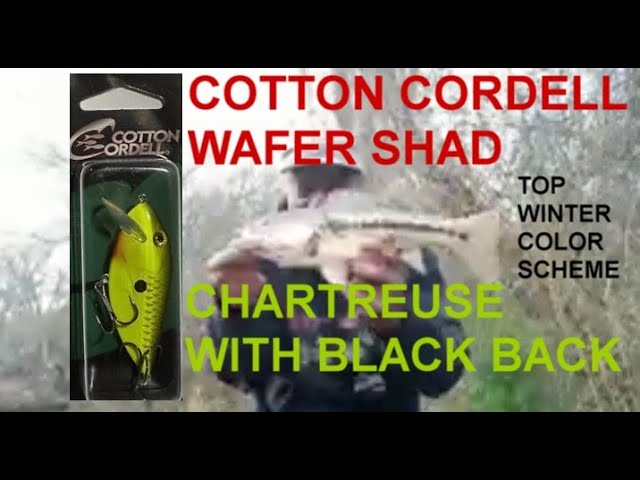 COTTON CORDELL GRAPPLER SHAD CRAW CHARTREUSE BELLY 