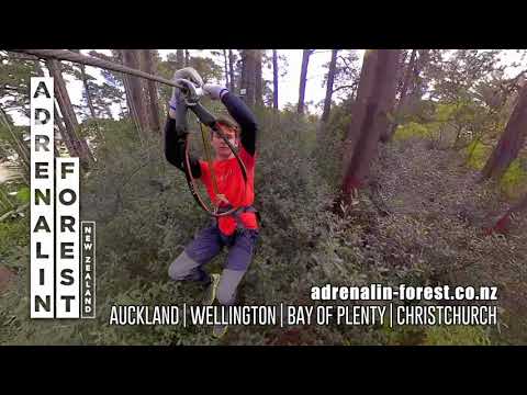 Adrenalin Forest - Now Nationwide