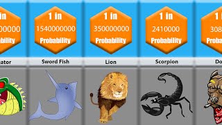 Probability Comparison: Deadliest Animals