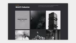 Themesawesome - Advanced Grid Portfolio